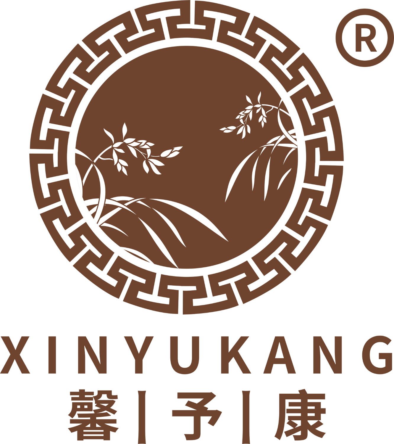 Ĵܰ迵Biˎ޹˾